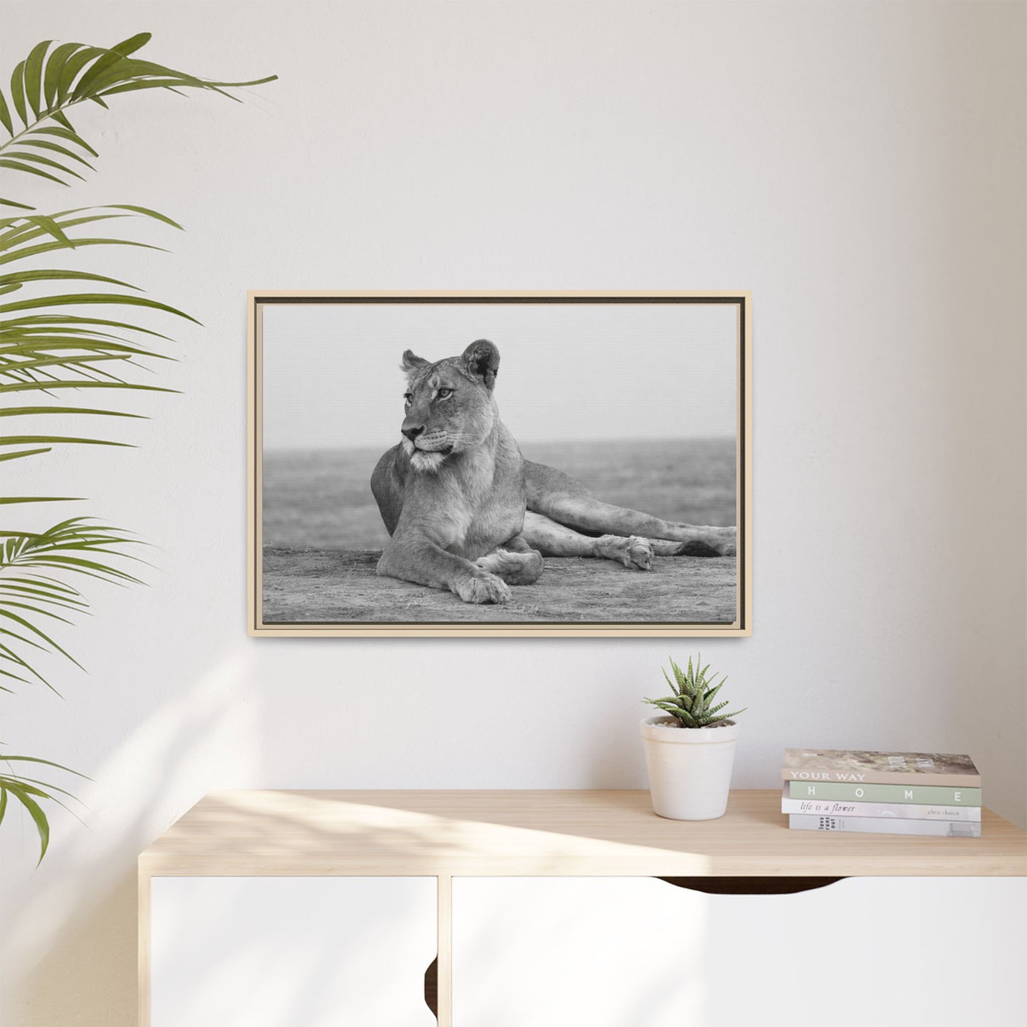 Framed Canvas Print — Lioness In Repose