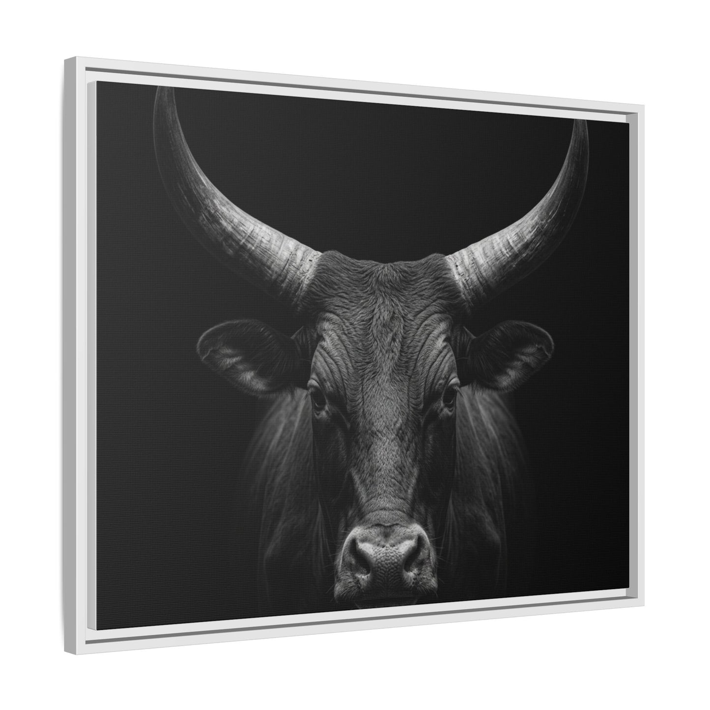 Framed Canvas Print — Ankole Cow In Black