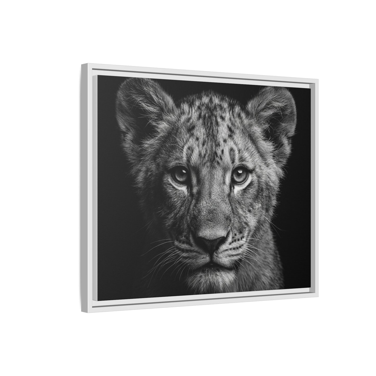 Framed Canvas Print — Lion Cub In Black