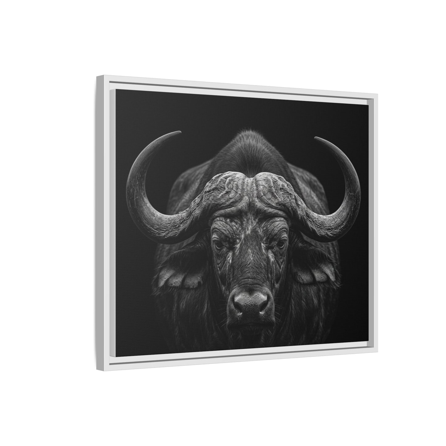 Framed Canvas Print — Cape Buffalo In Black