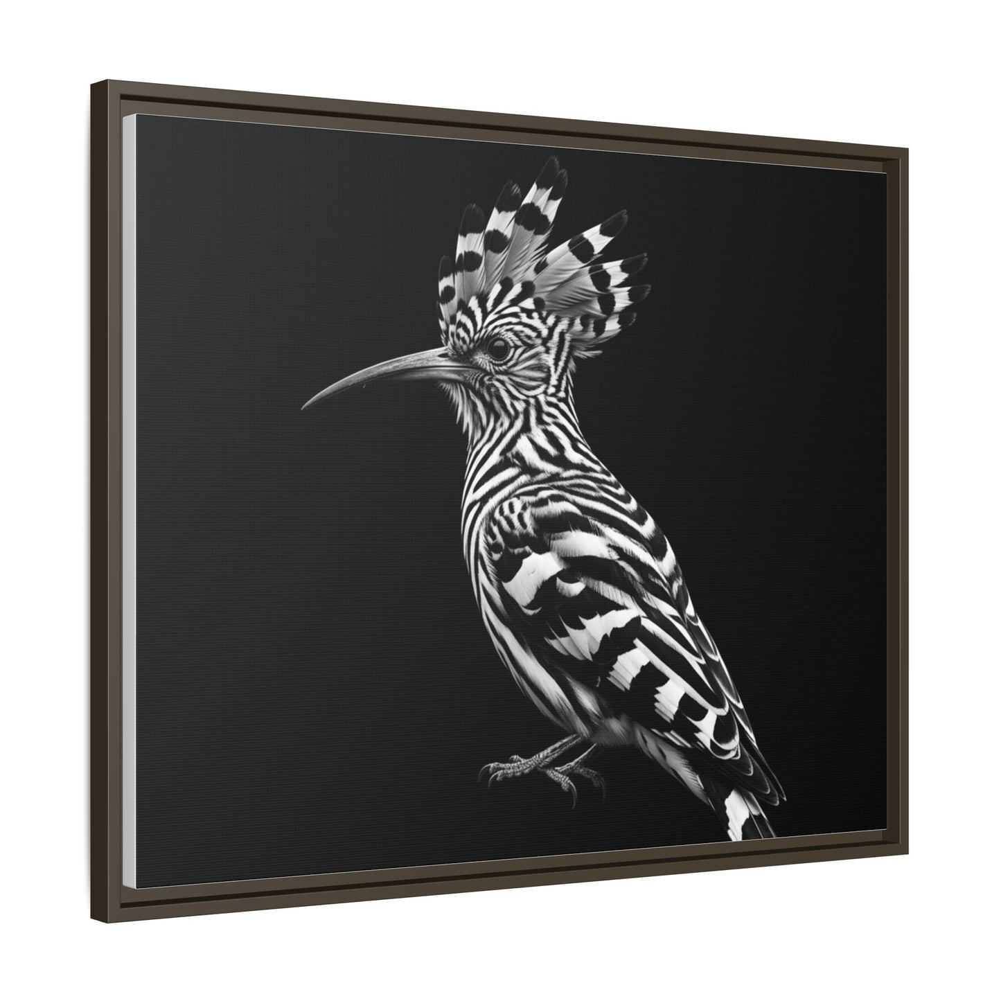 Framed Canvas Print — Afrikan Hoopoe In Black