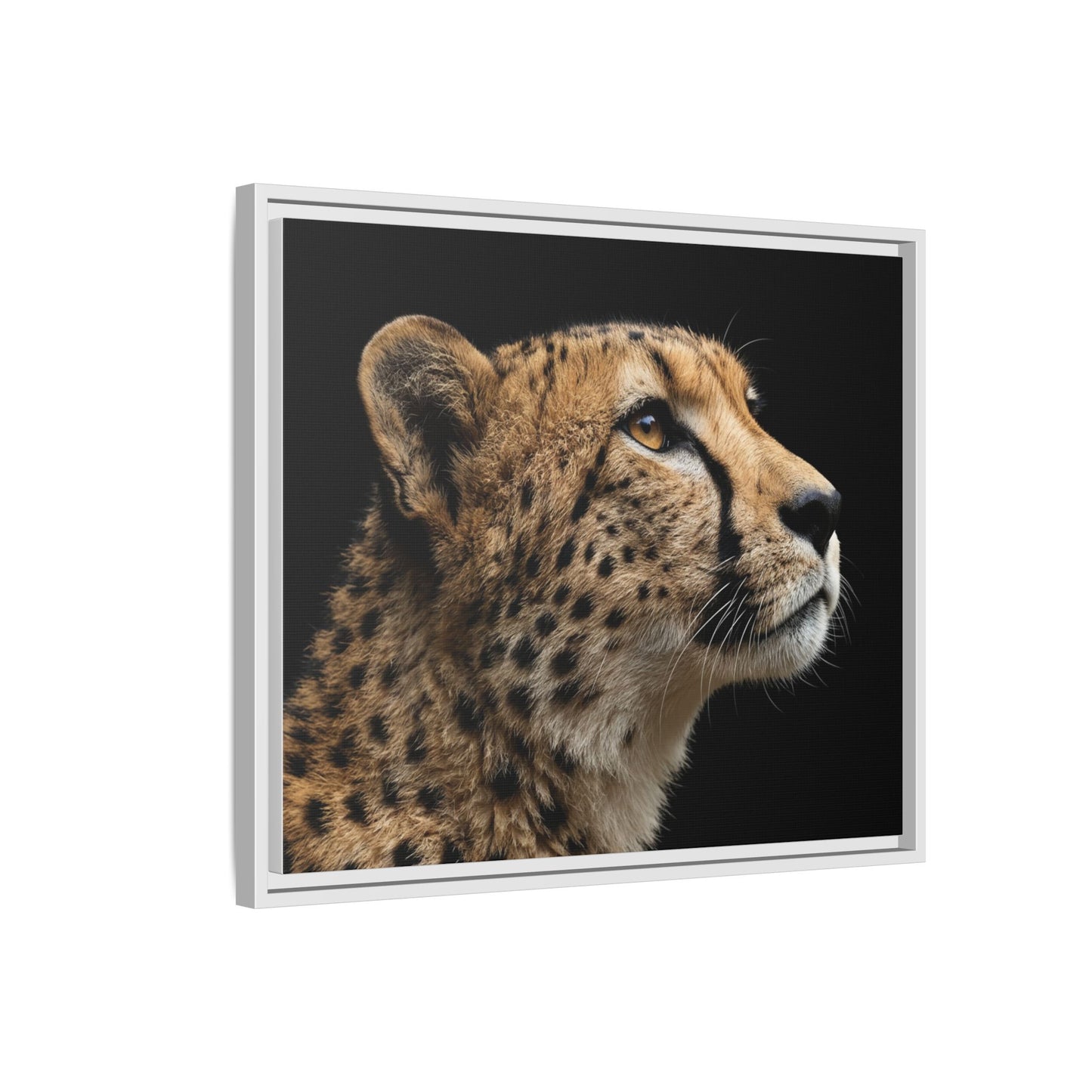Framed Canvas Print — Lion Cub In Colour