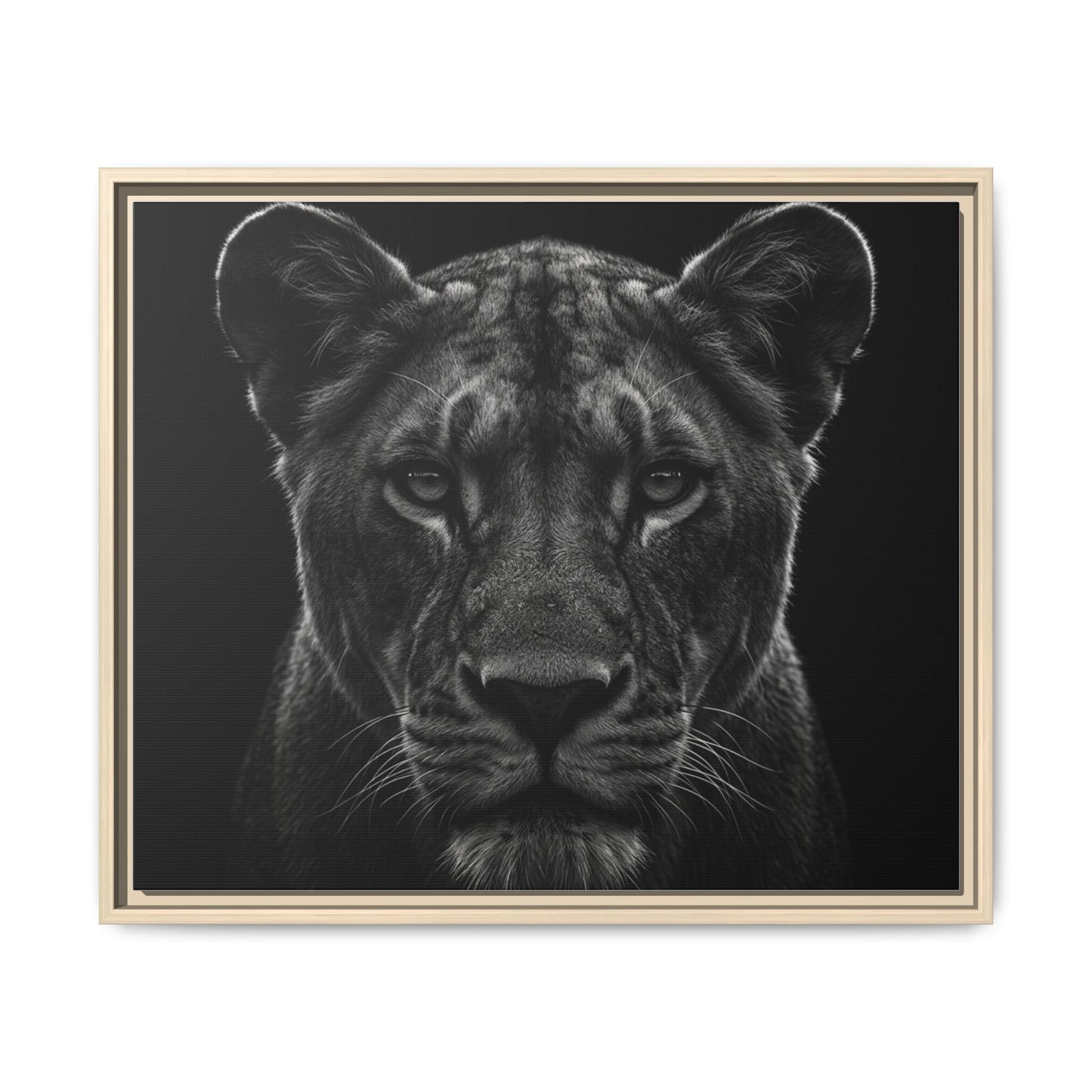 Framed Canvas Print — Lioness In Black