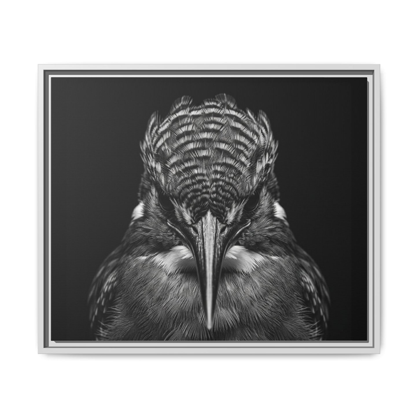 Framed Canvas Print — Malachite Kingfisher In Black