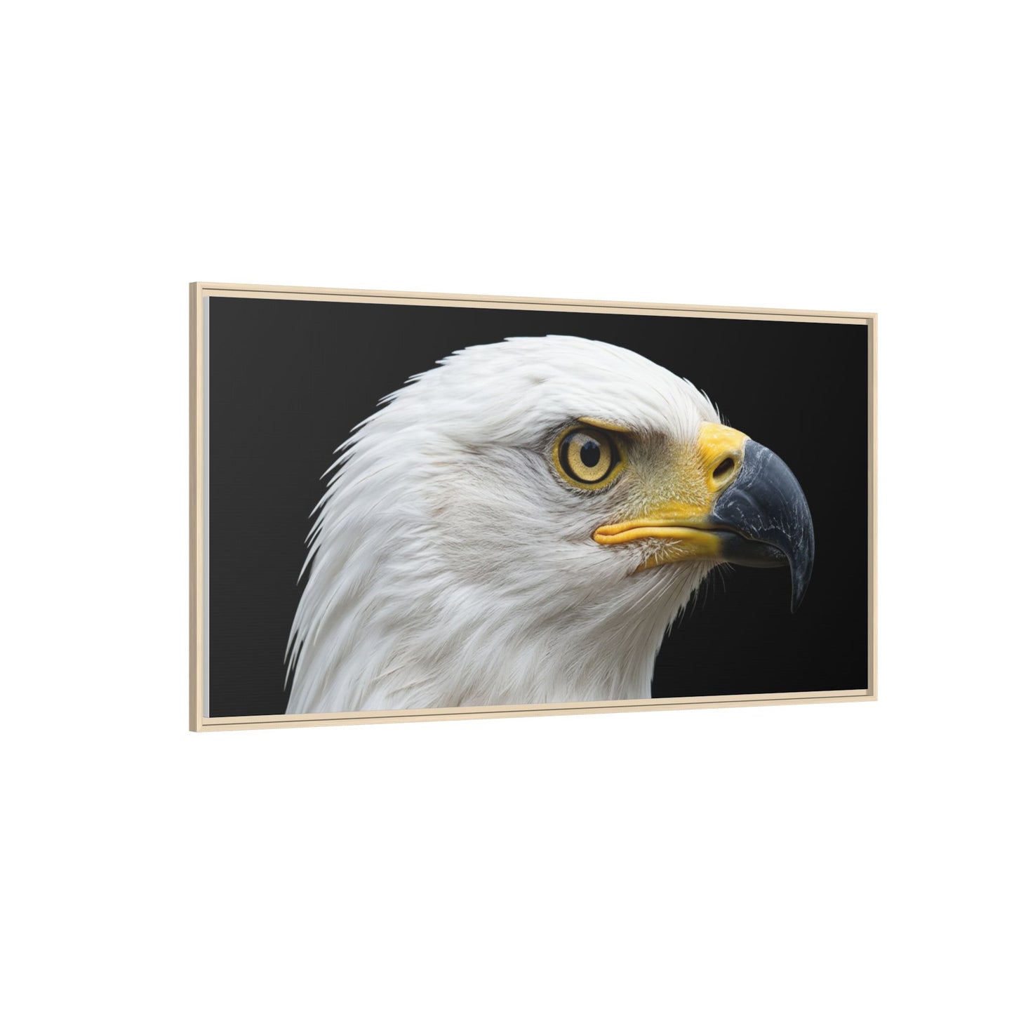 Framed Canvas Print — Fish Eagle In Colour