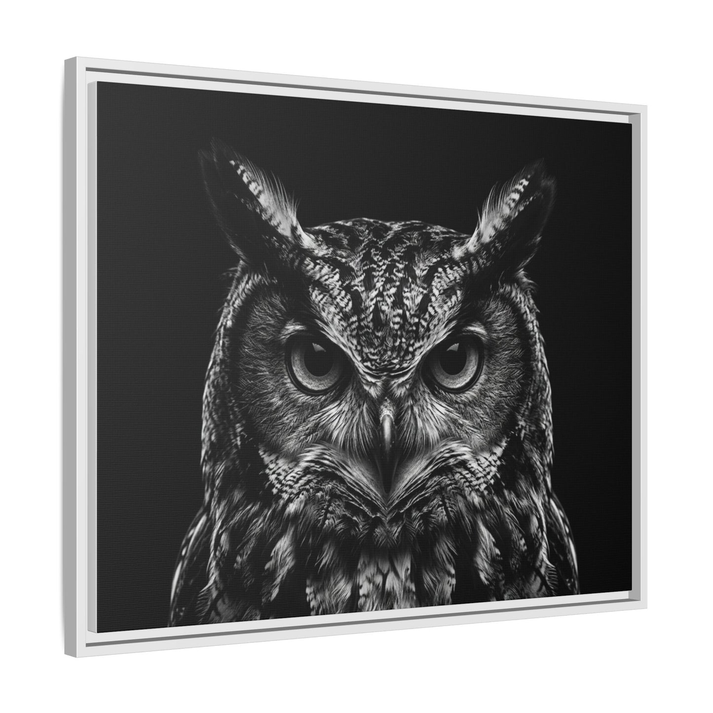 Framed Canvas Print — Scops Owl In Black