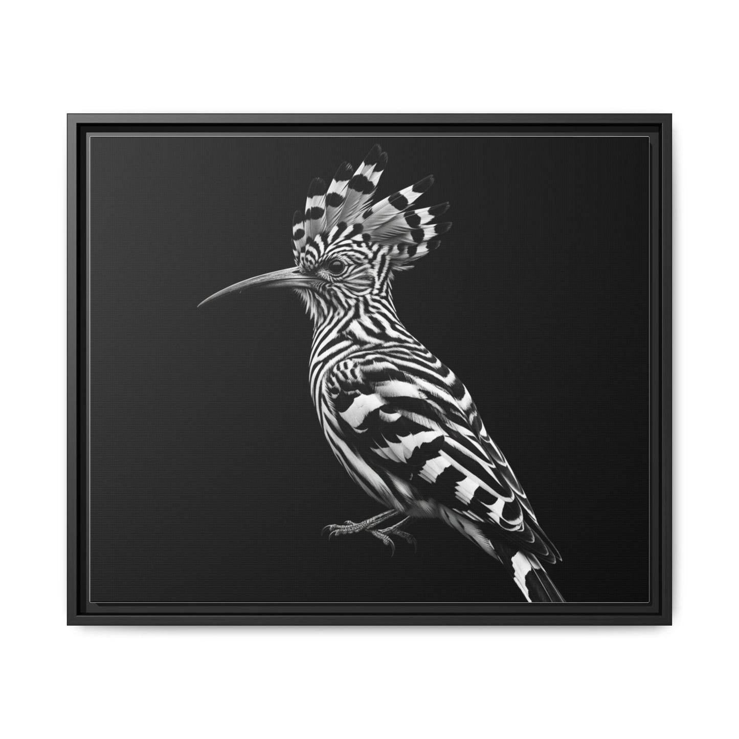 Framed Canvas Print — Afrikan Hoopoe In Black