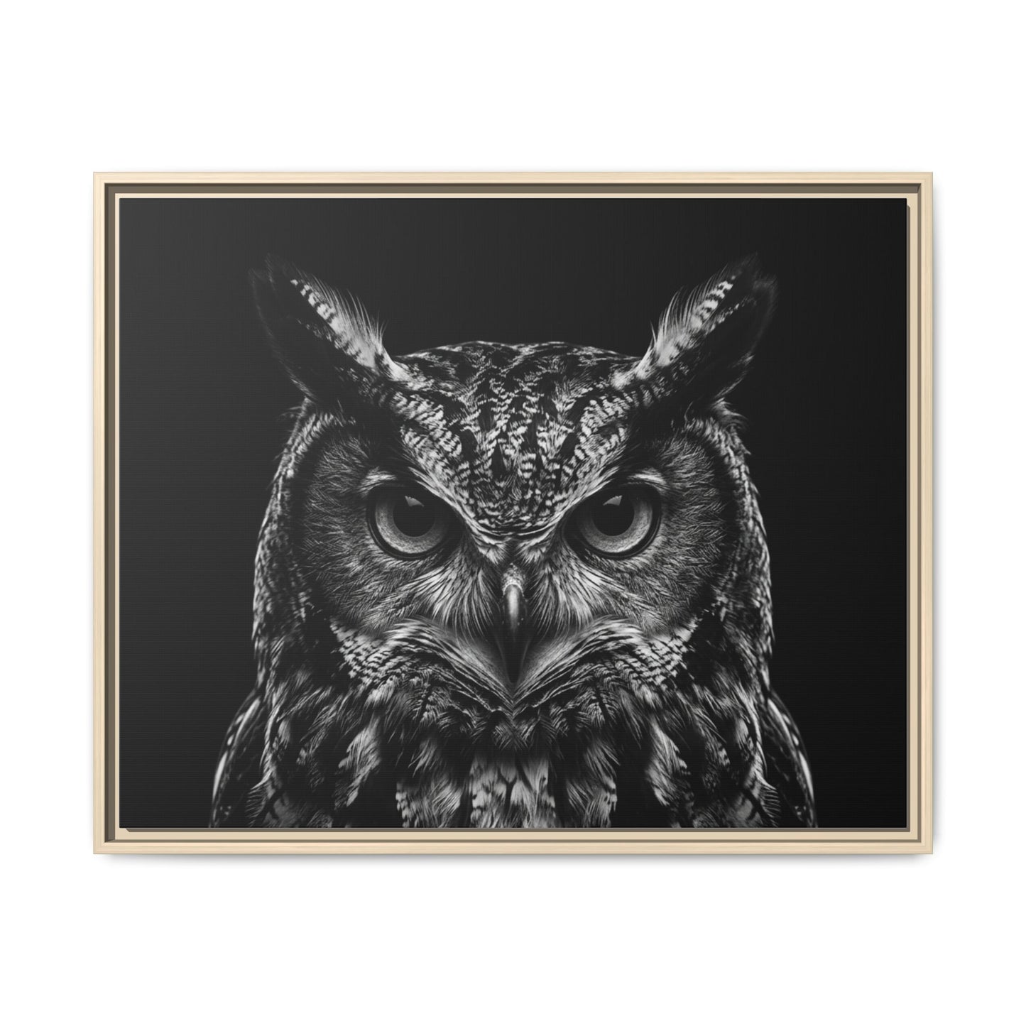 Framed Canvas Print — Scops Owl In Black