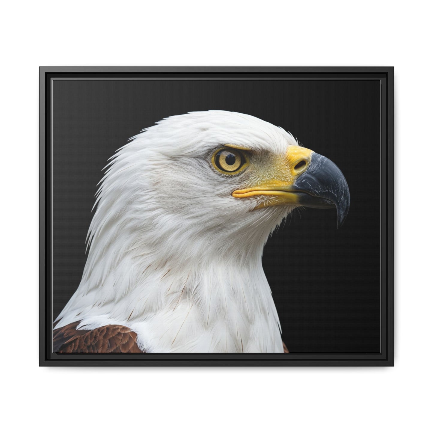 Framed Canvas Print — Fish Eagle In Colour