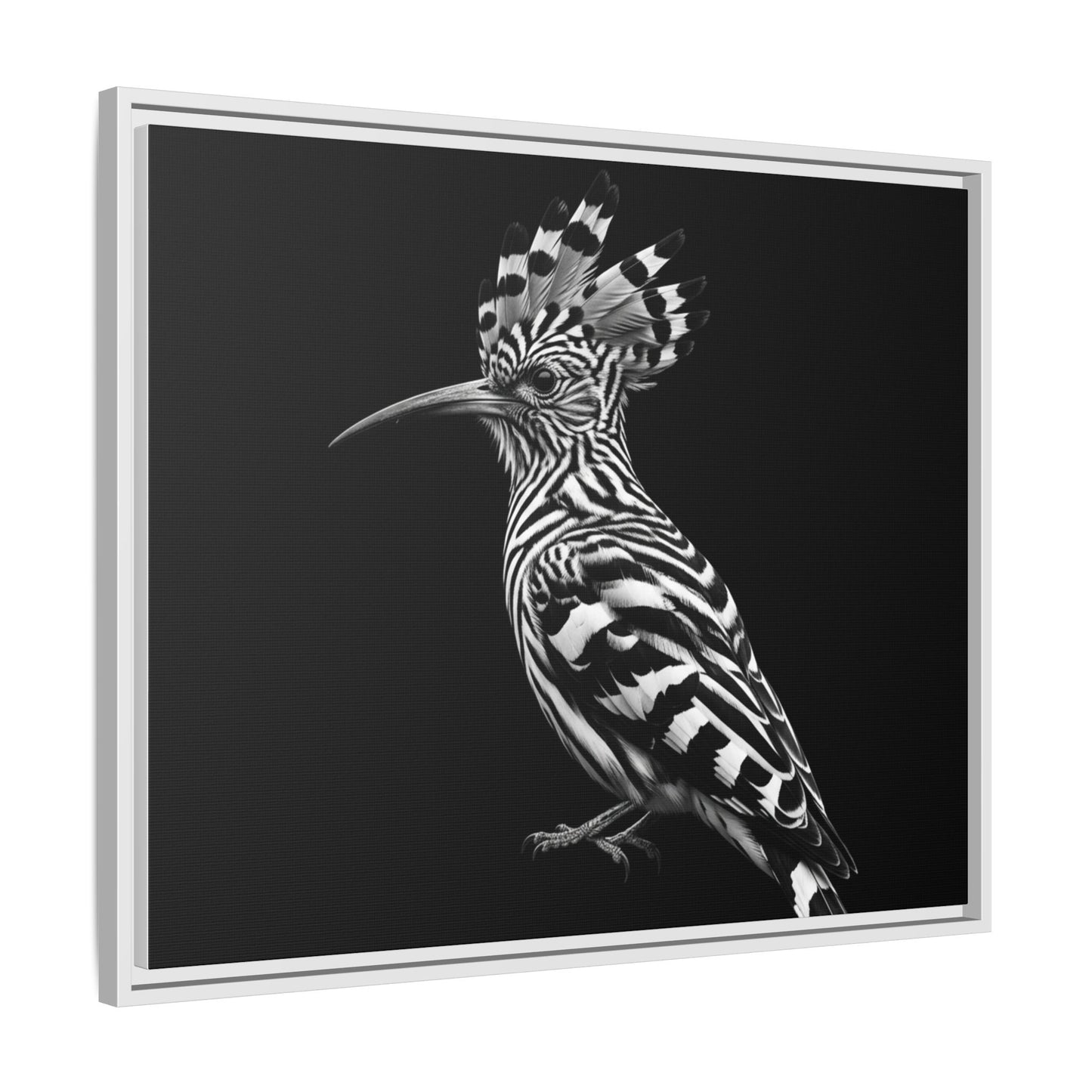 Framed Canvas Print — Afrikan Hoopoe In Black