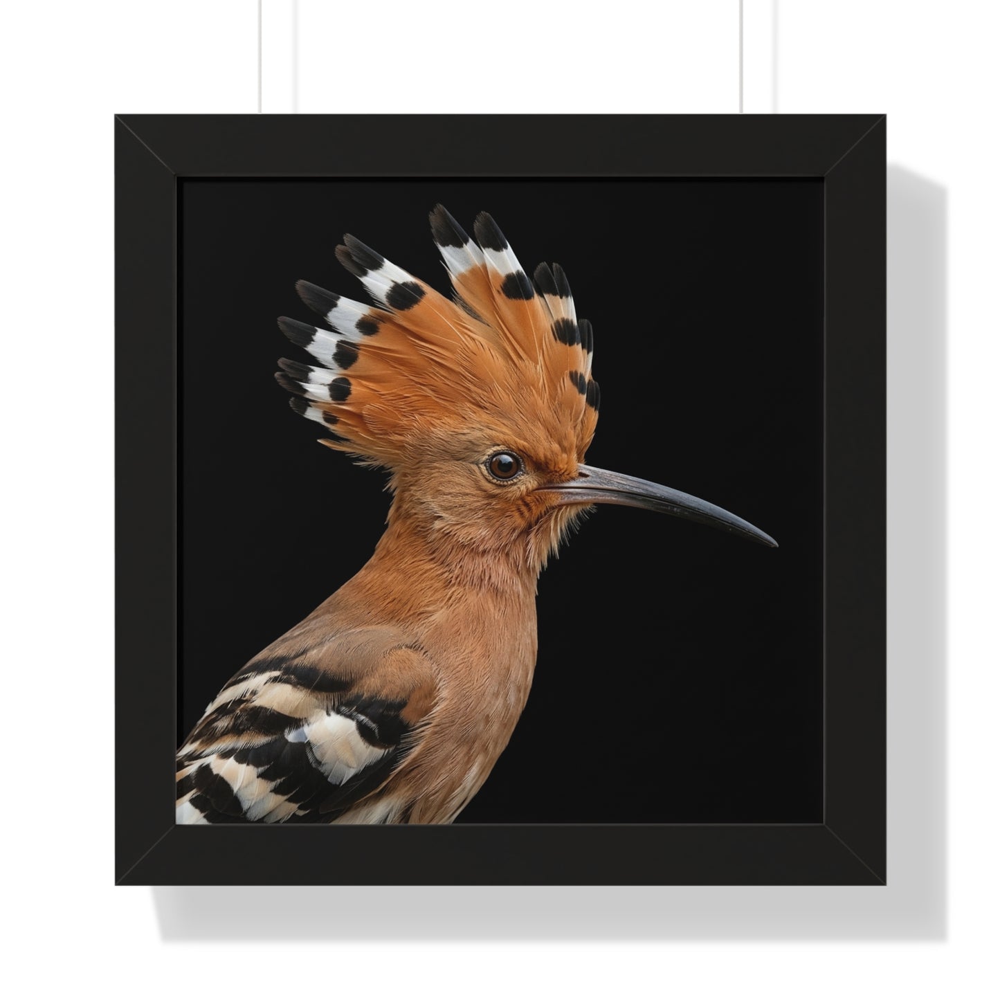 Framed Art Print – Afrikan Hoopoe In Colour
