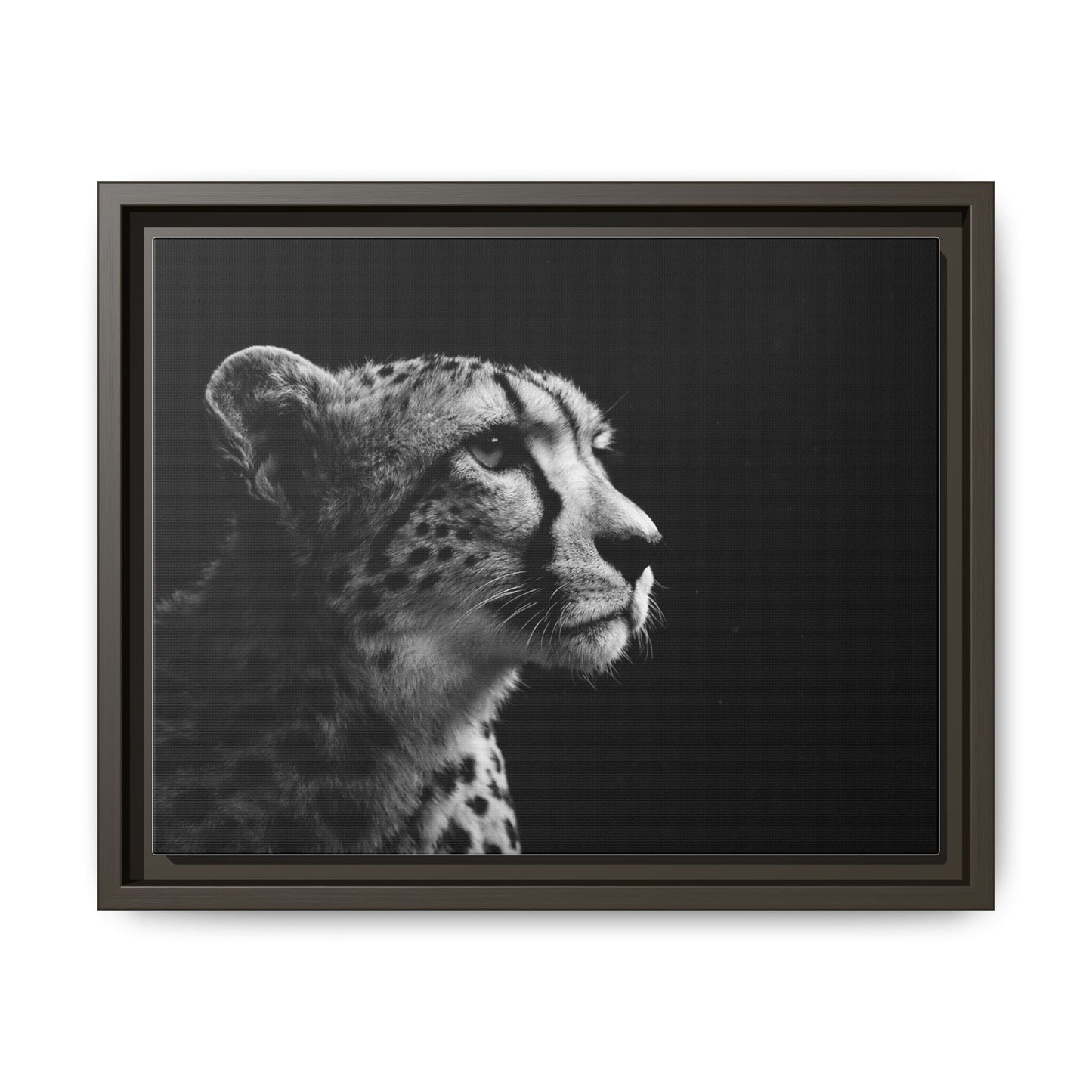 Framed Canvas Print — Cheetah Gaze