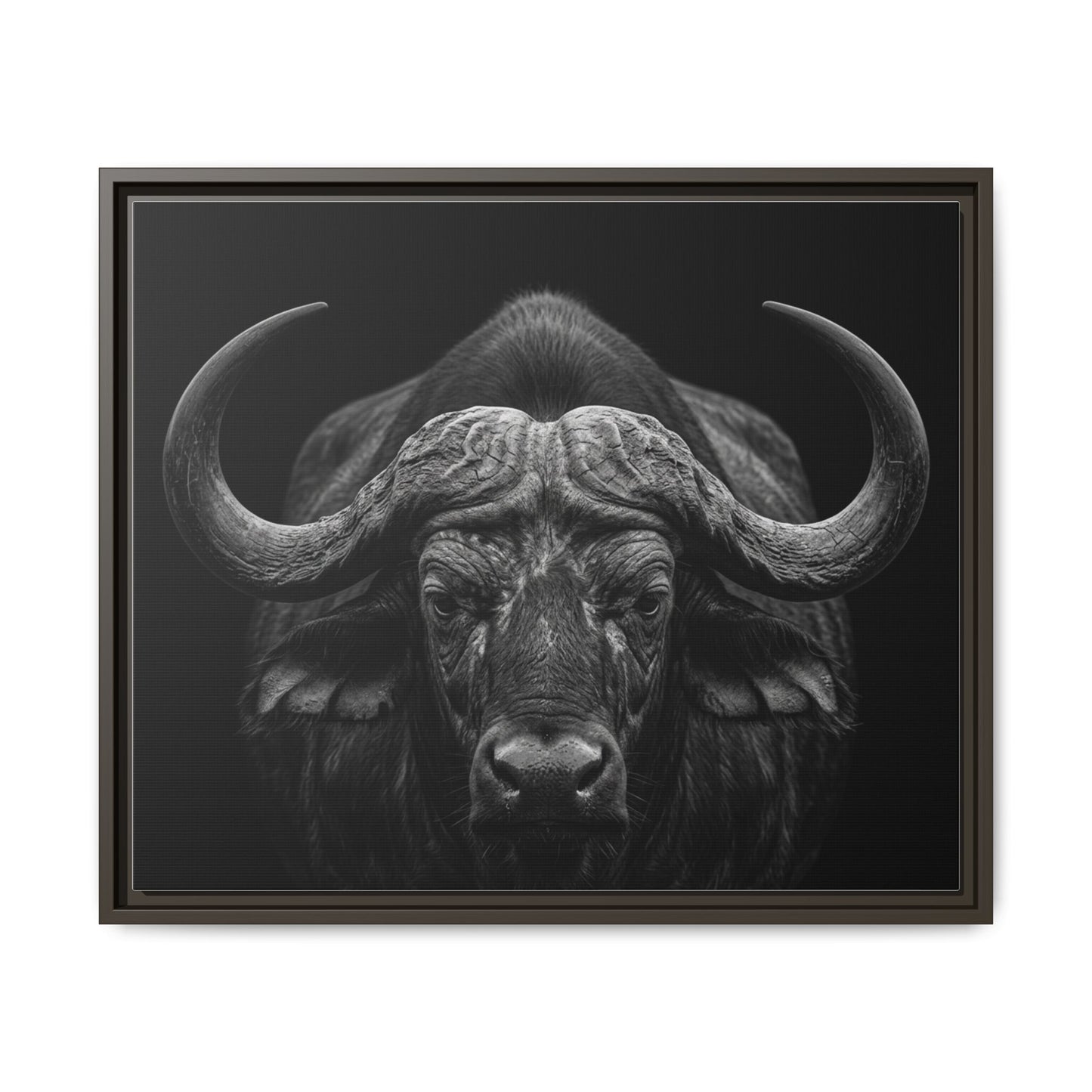 Framed Canvas Print — Cape Buffalo In Black