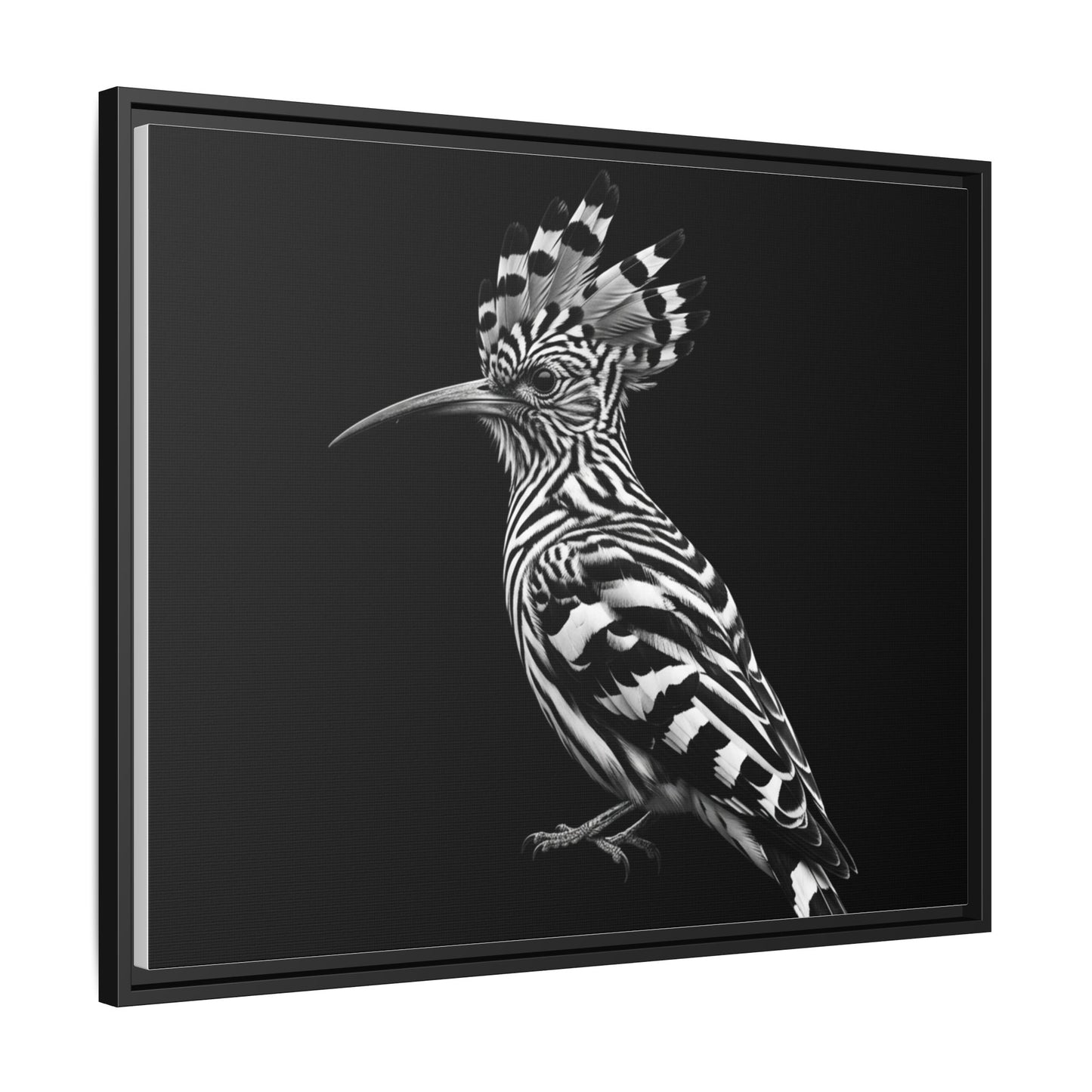 Framed Canvas Print — Afrikan Hoopoe In Black