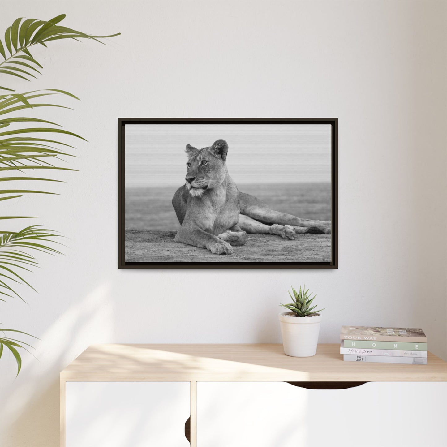 Framed Canvas Print — Lioness In Repose