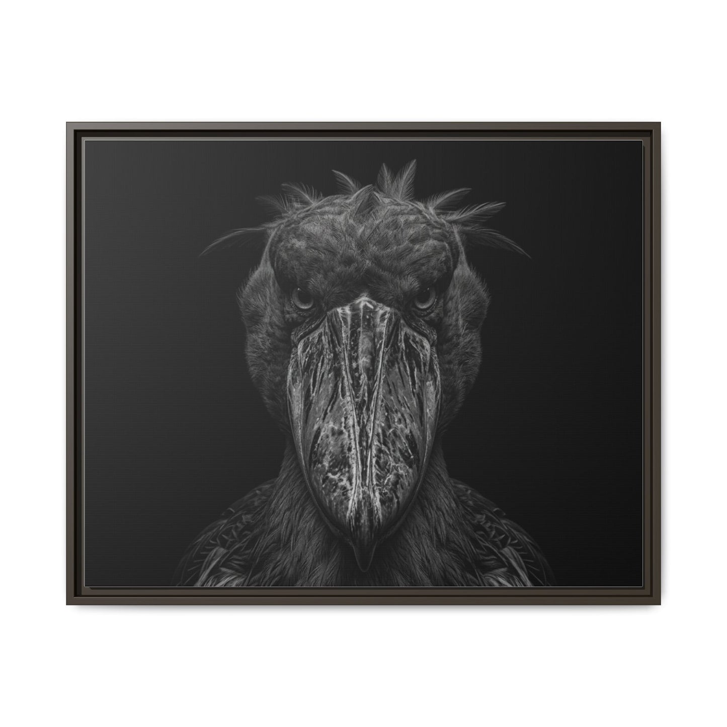 Framed Canvas Print — Shoebill Stock In Black