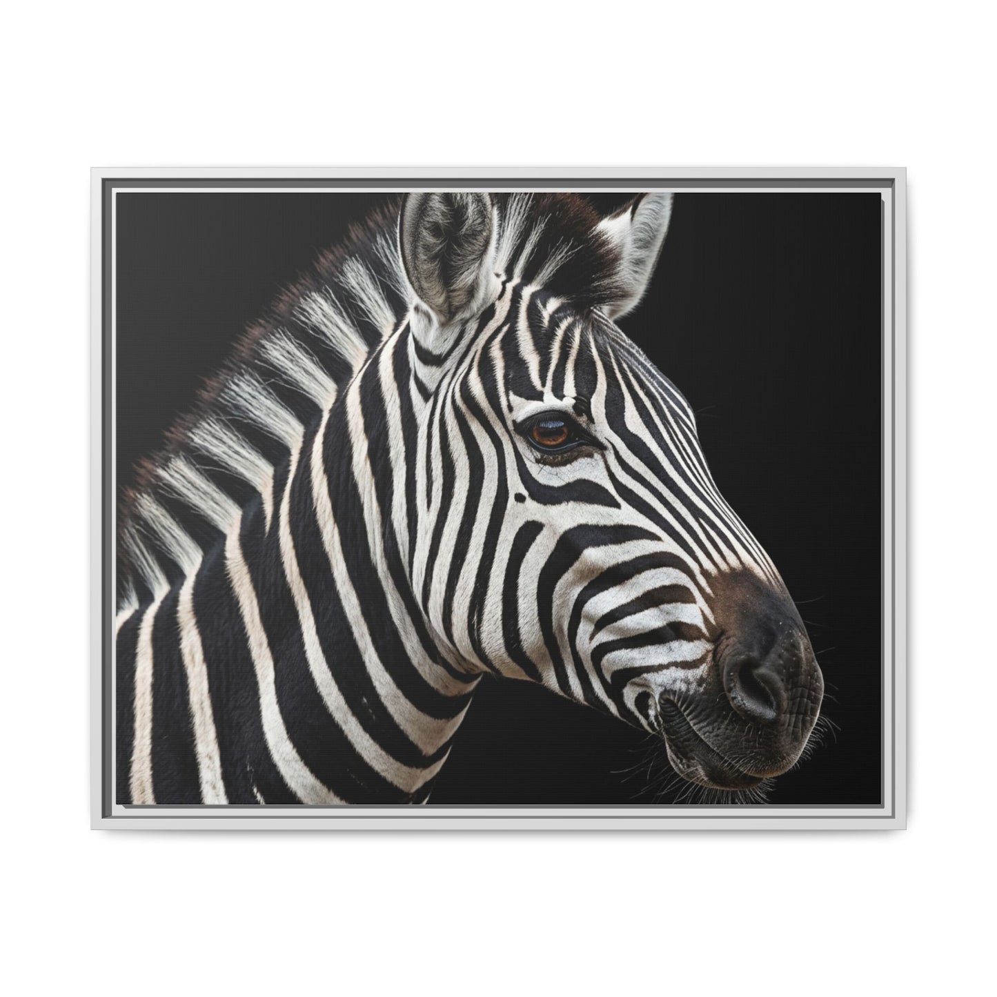 Framed Canvas Print — Zebra In Colour