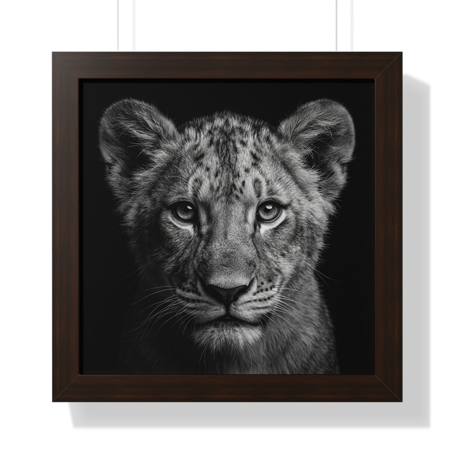 Framed Art Print – Lion Cub In Black