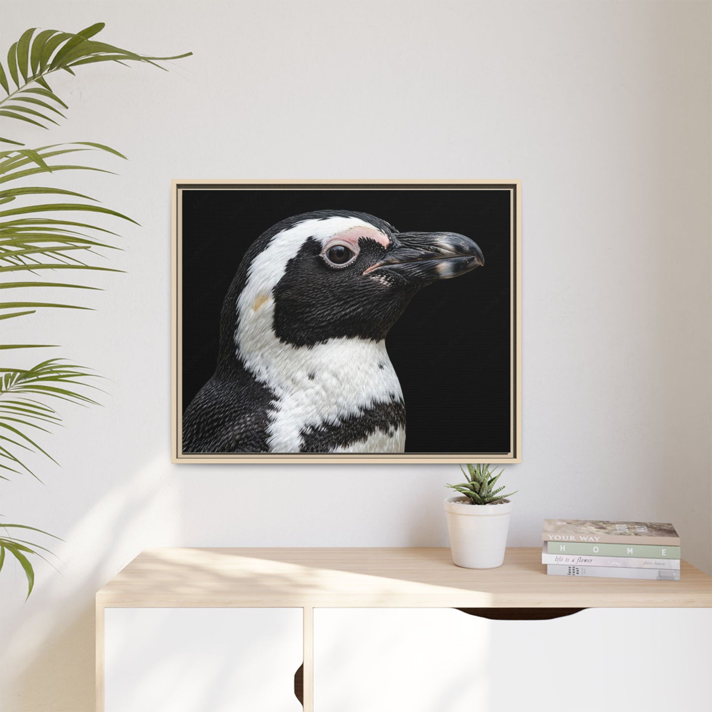 Framed Canvas Print — Afrikan Penguin In Colour