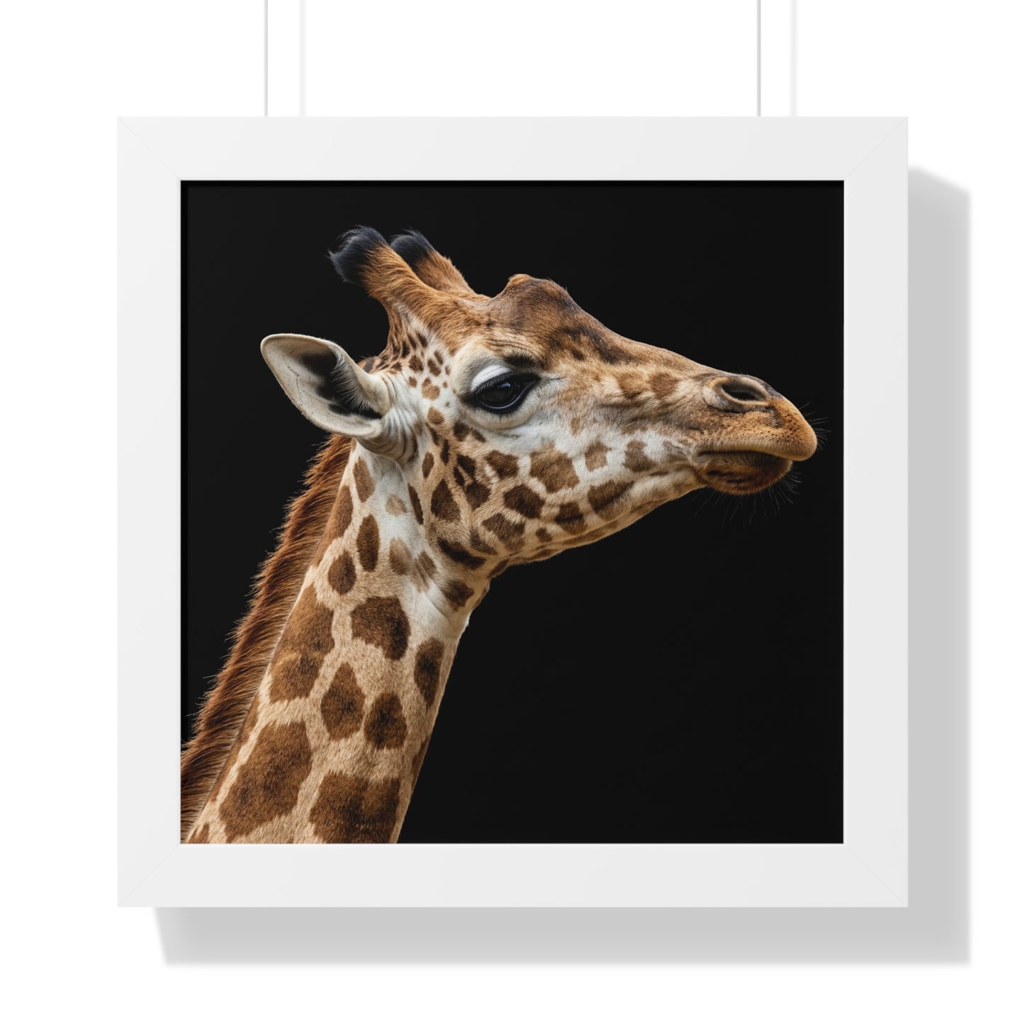 Framed Art Print – Giraffe In Colour