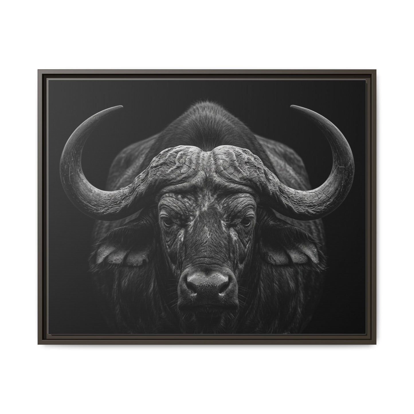 Framed Canvas Print — Cape Buffalo In Black