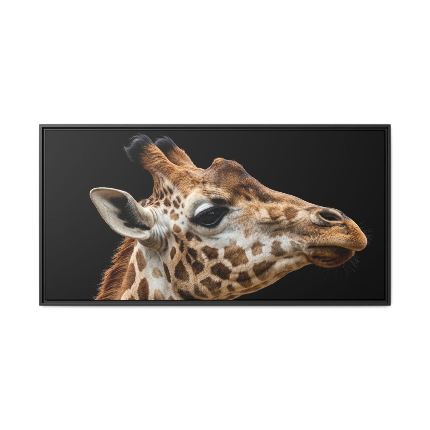 Framed Canvas Print — Giraffe In Colour
