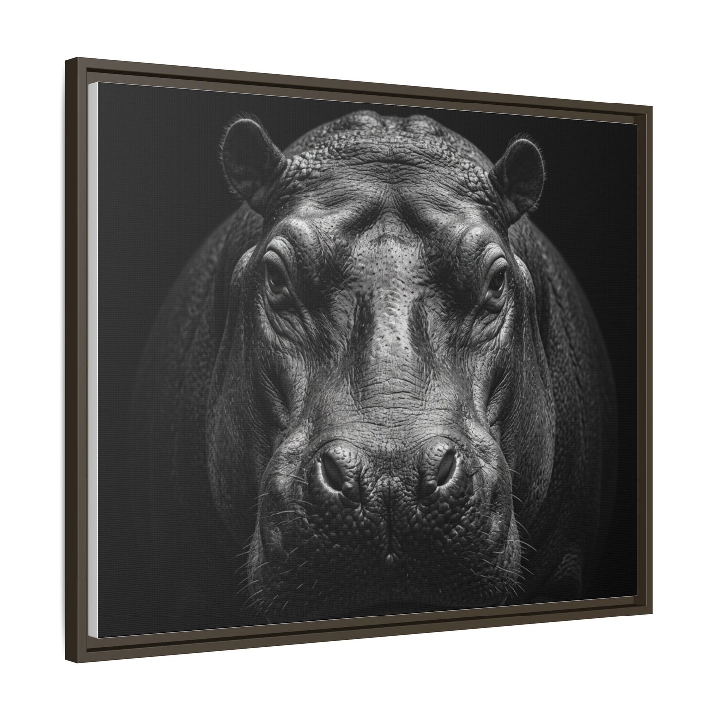 Framed Canvas Print — Hippopotamus In Black