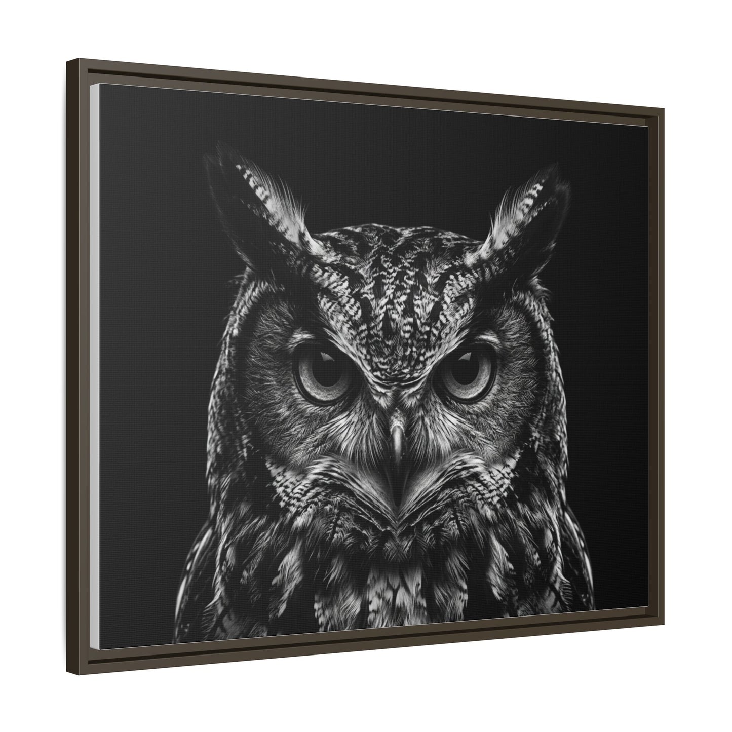 Framed Canvas Print — Scops Owl In Black