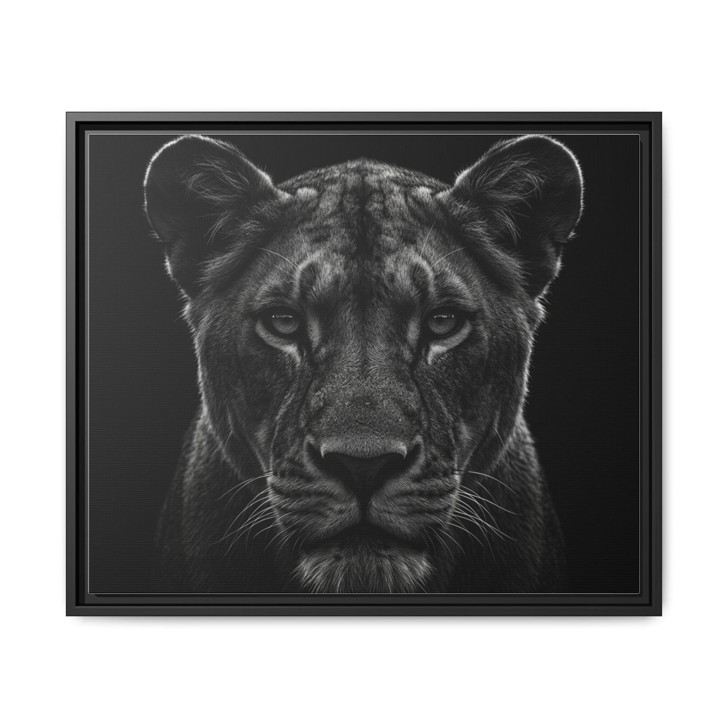 Framed Canvas Print — Lioness In Black