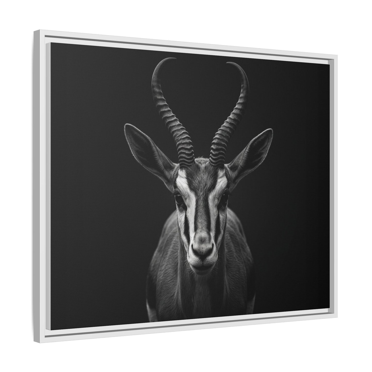 Framed Canvas Print — Springbok In Black