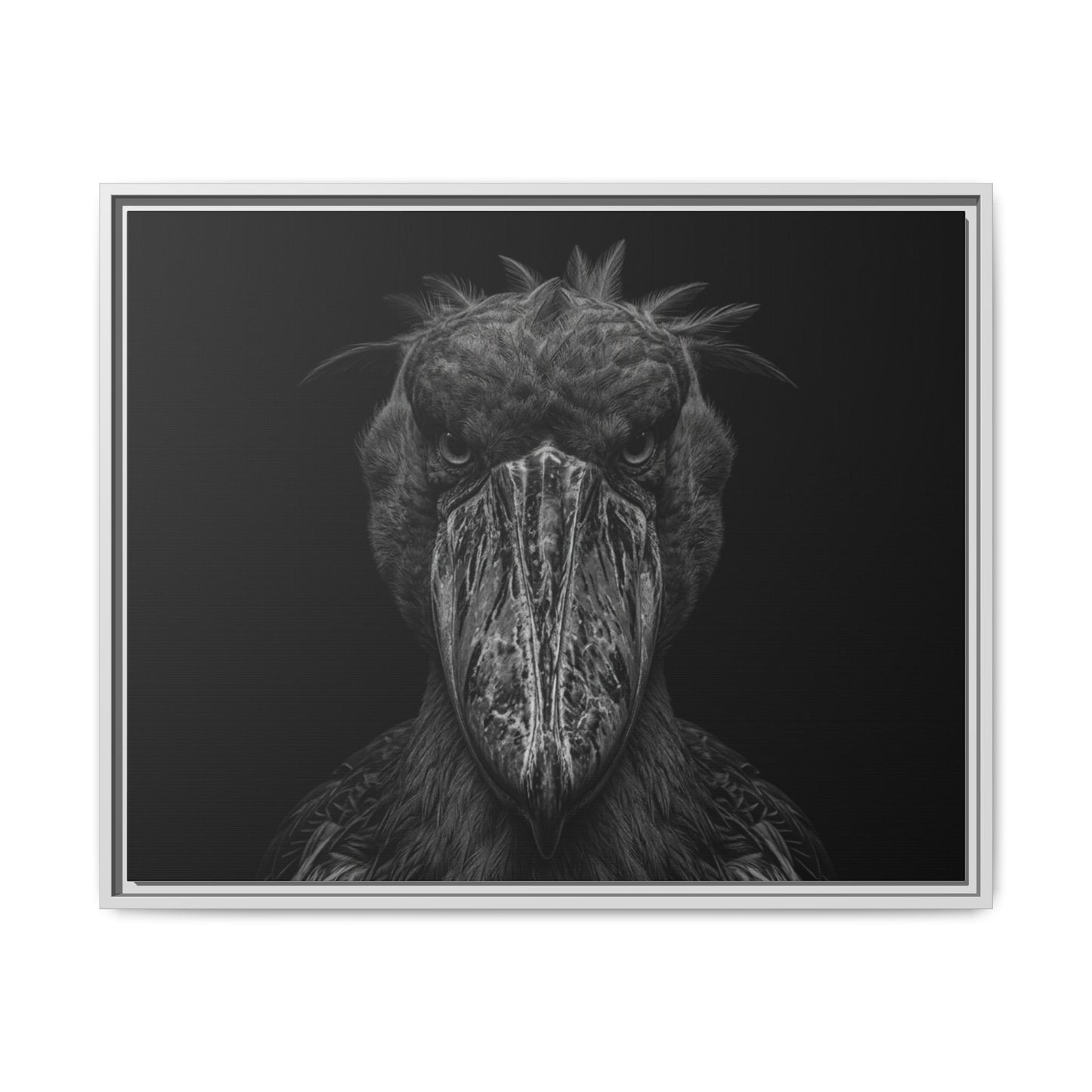 Framed Canvas Print — Shoebill Stock In Black