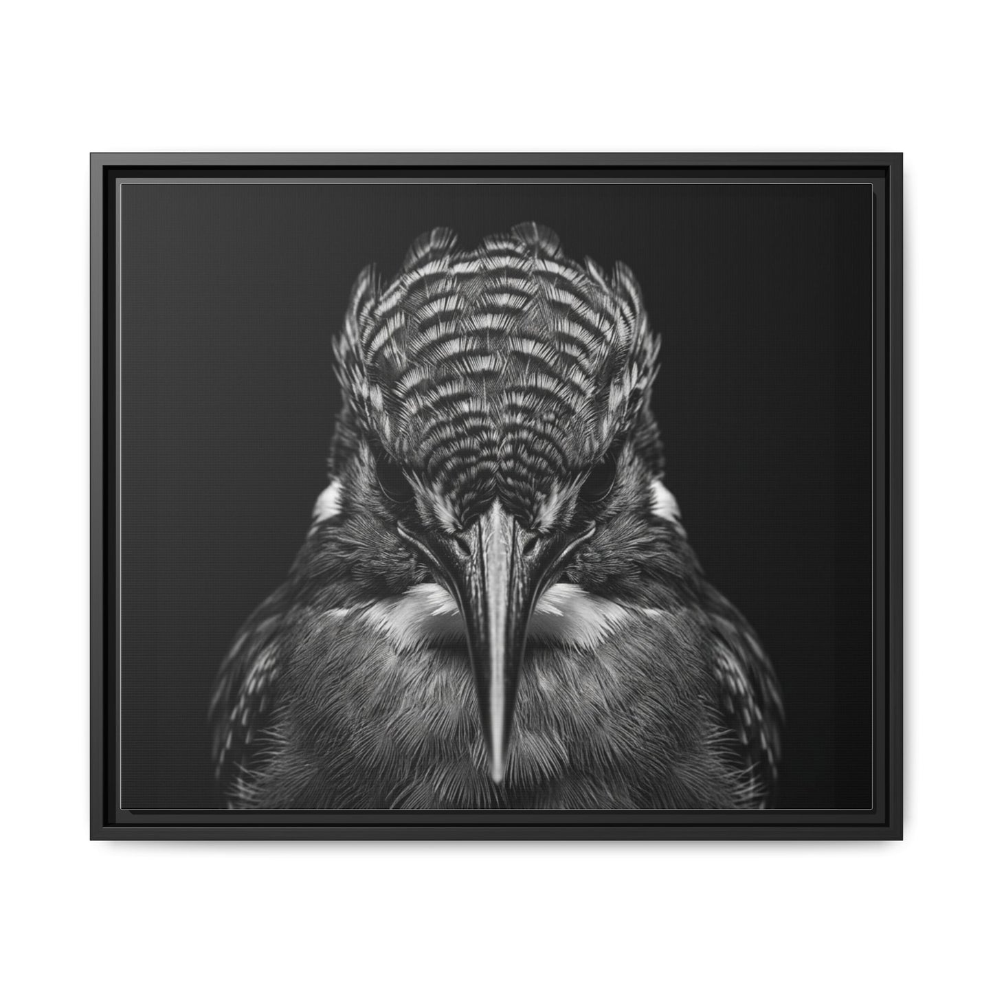 Framed Canvas Print — Malachite Kingfisher In Black