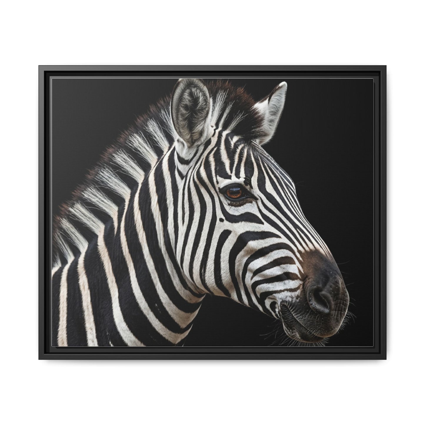 Framed Canvas Print — Zebra In Colour