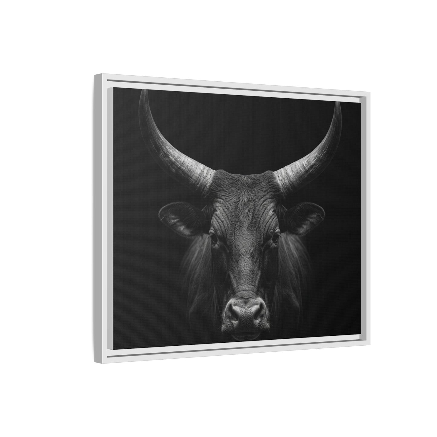 Framed Canvas Print — Ankole Cow In Black