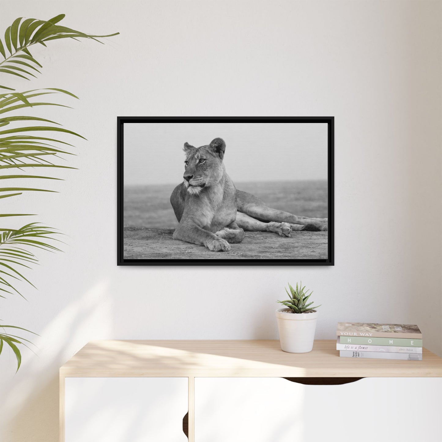 Framed Canvas Print — Lioness In Repose