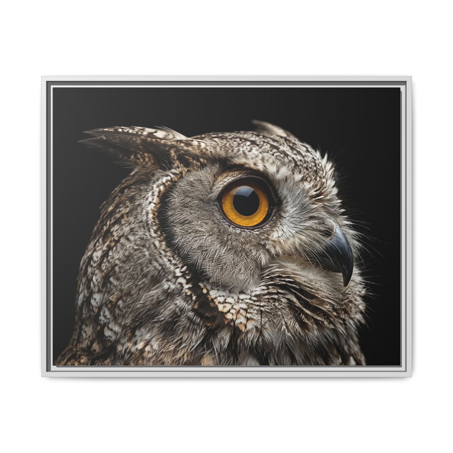 Framed Canvas Print — Scops Owl In Colour