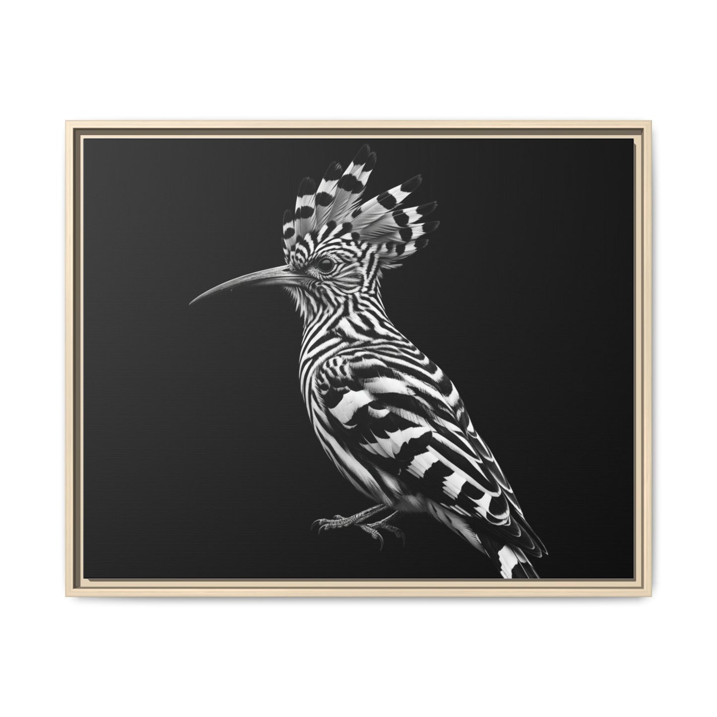 Framed Canvas Print — Afrikan Hoopoe In Black
