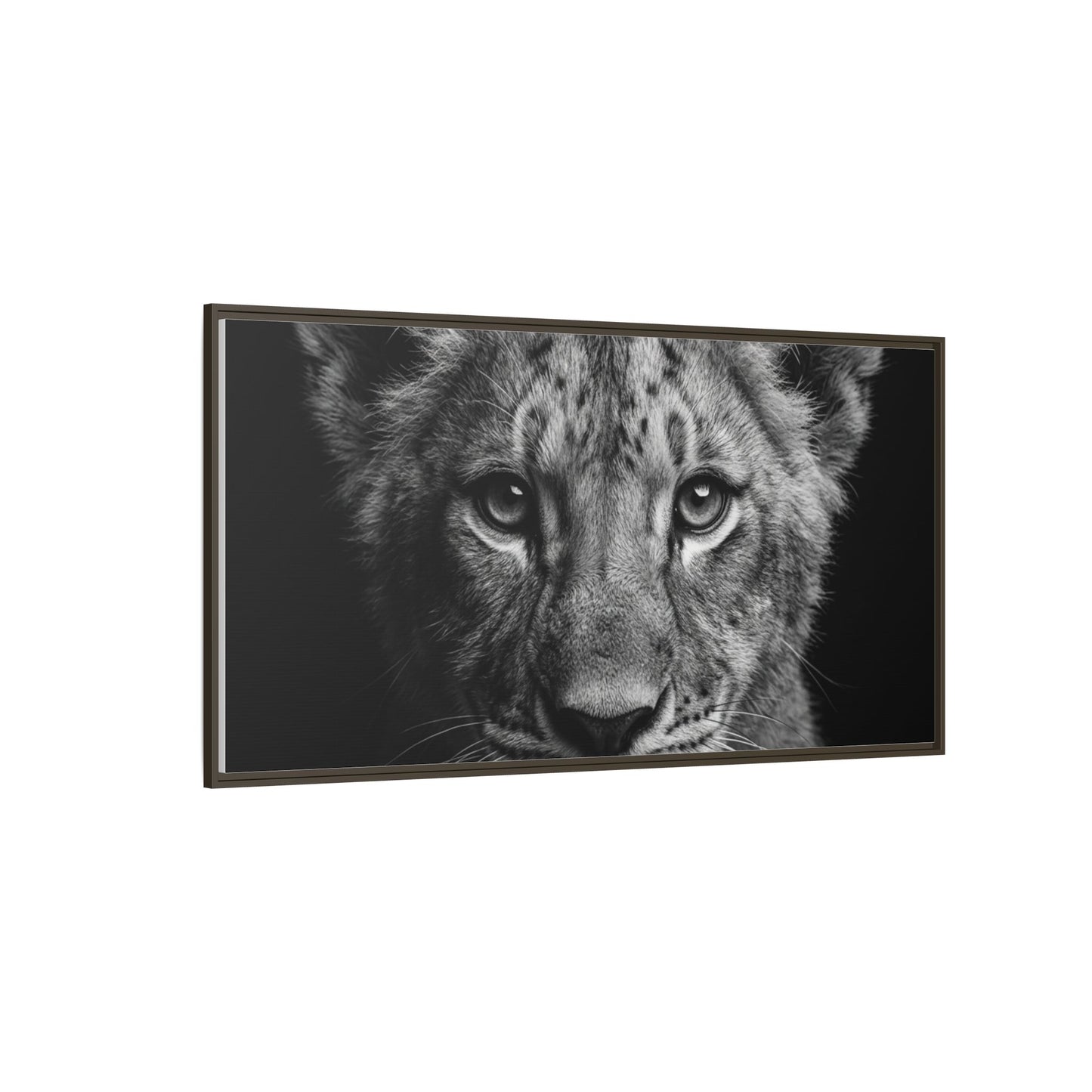 Framed Canvas Print — Lion Cub In Black