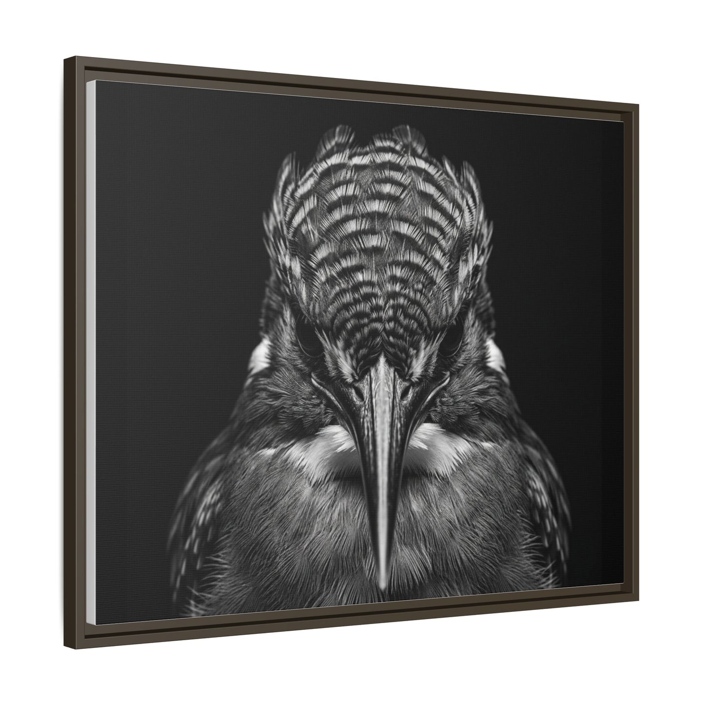 Framed Canvas Print — Malachite Kingfisher In Black