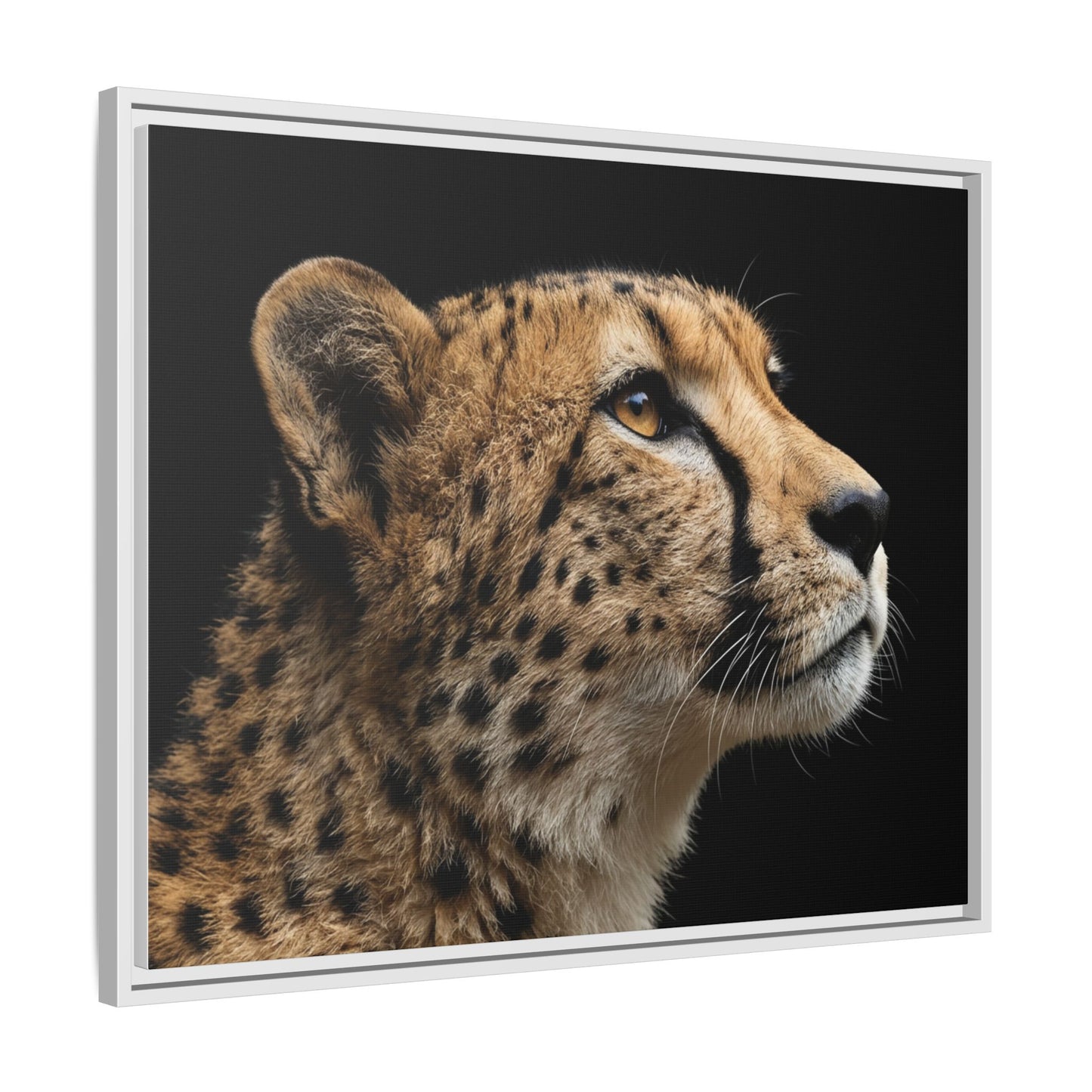 Framed Canvas Print — Cheetah In Colour