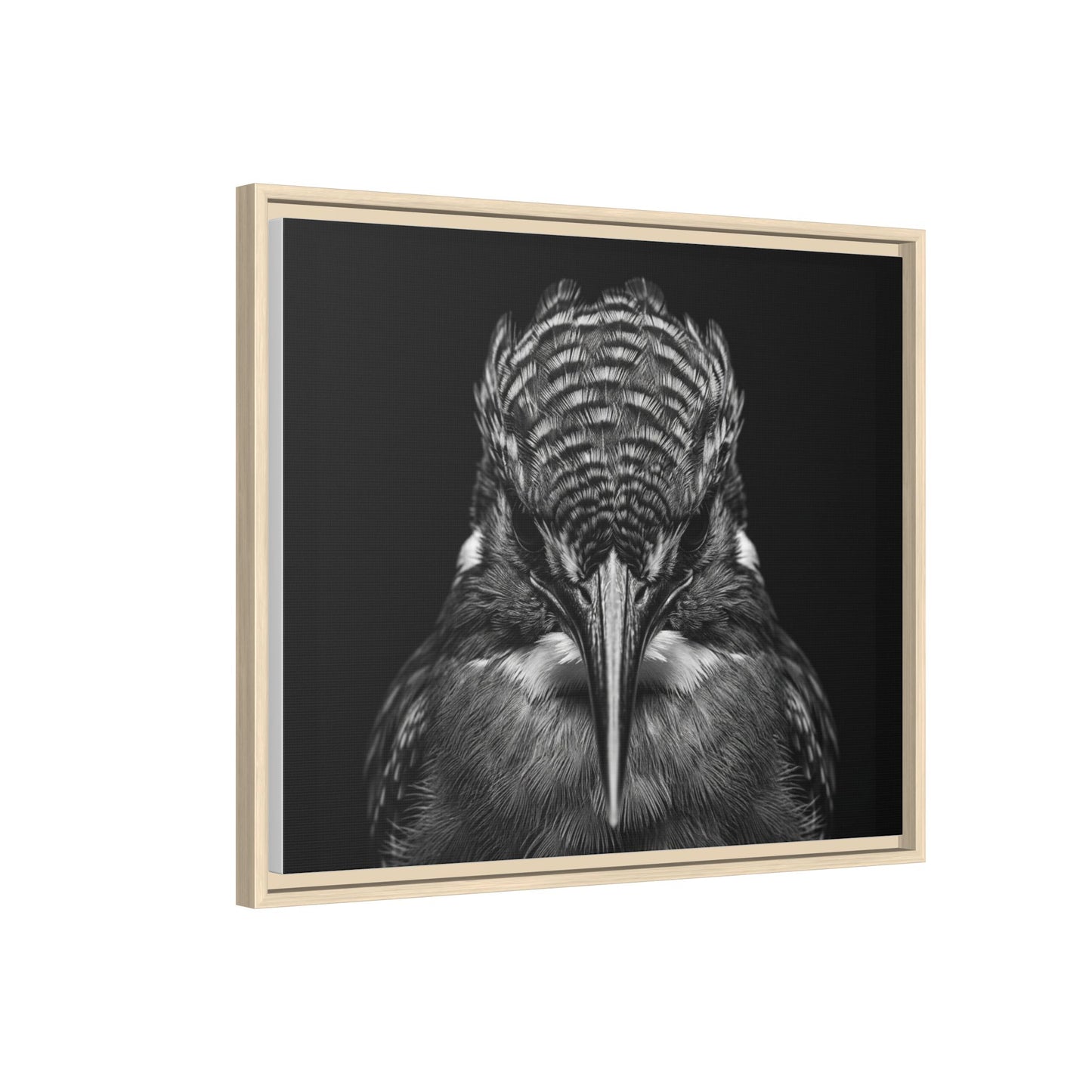 Framed Canvas Print — Malachite Kingfisher In Black