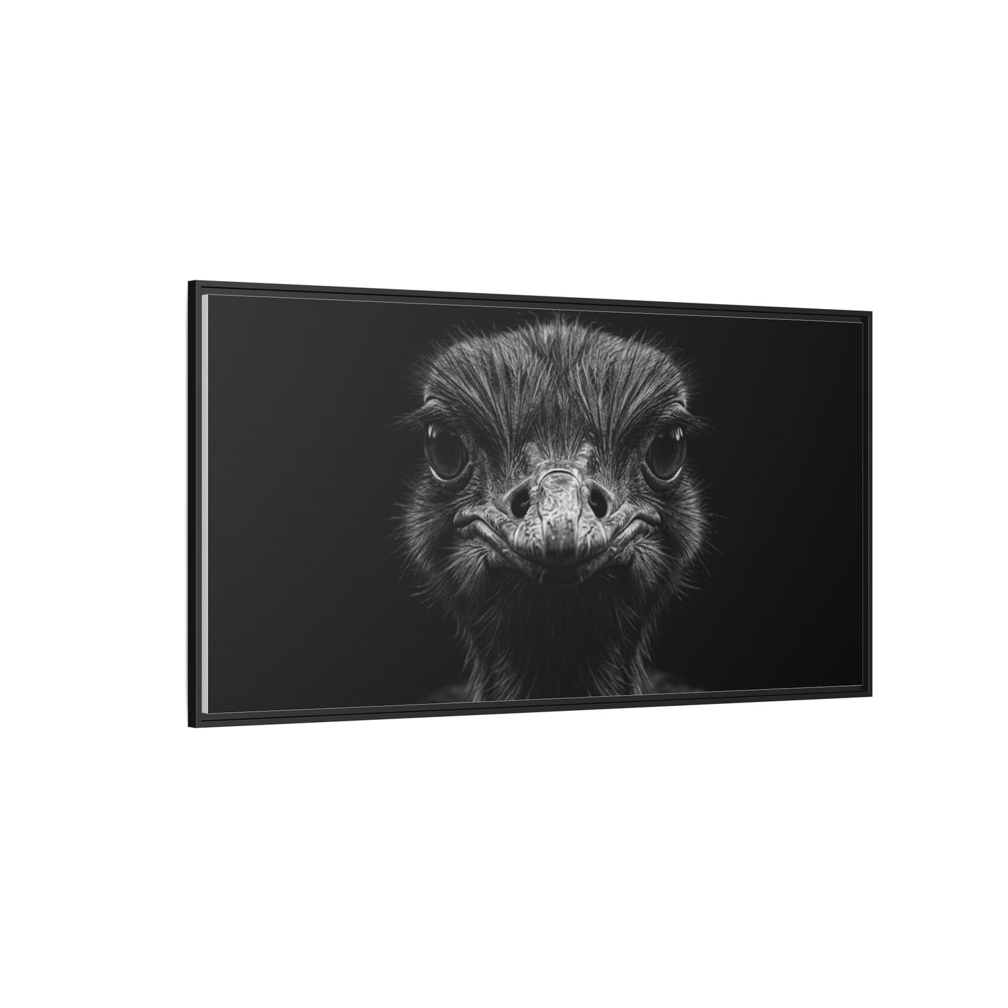 Framed Canvas Print — Ostrich In Black