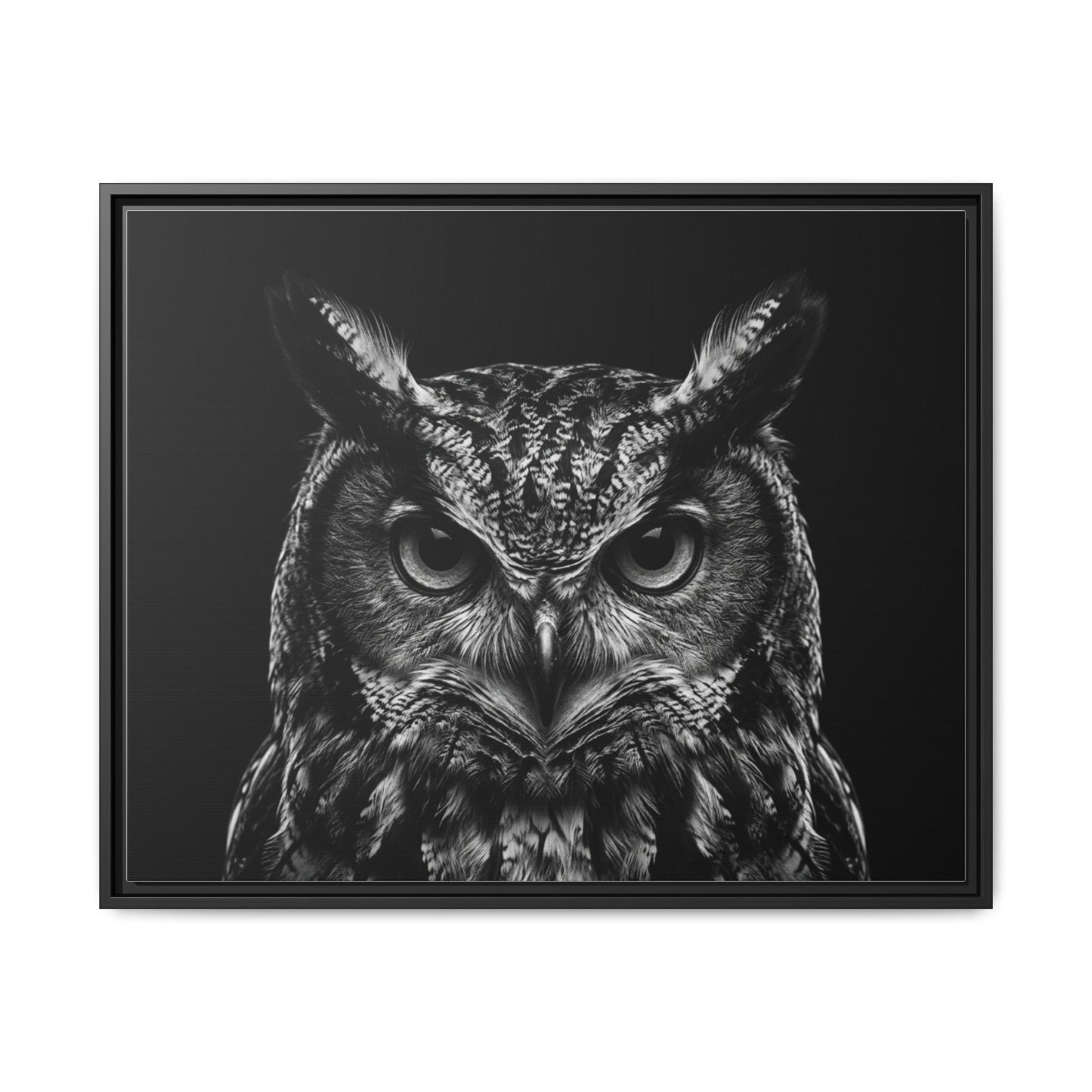 Framed Canvas Print — Scops Owl In Black