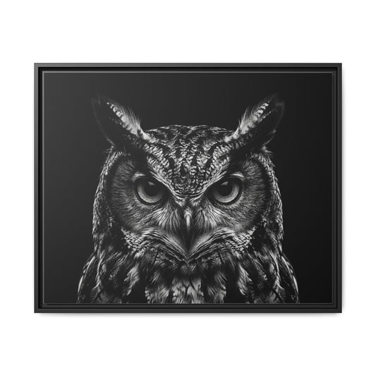 Framed Canvas Print — Scops Owl In Black