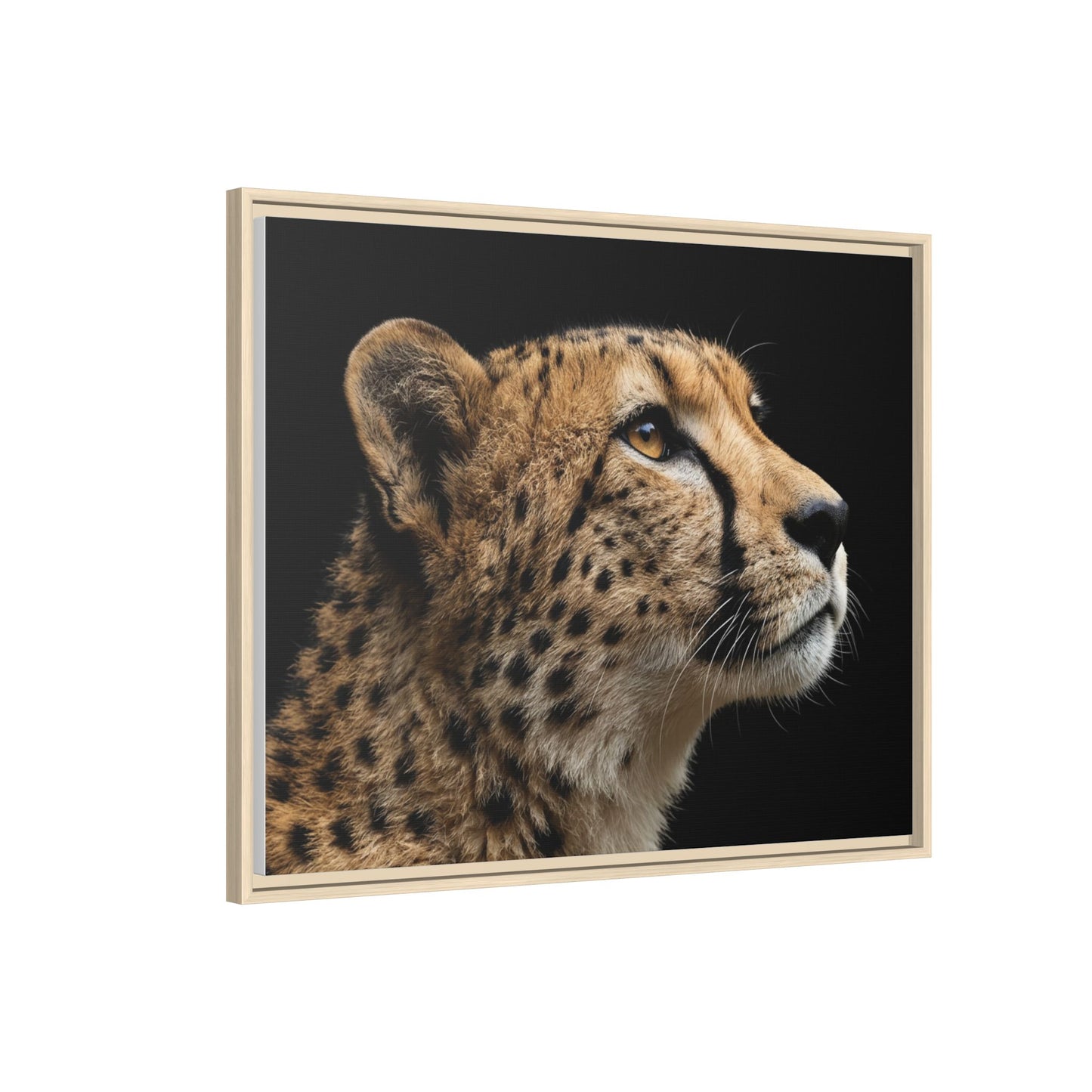Framed Canvas Print — Cheetah In Colour