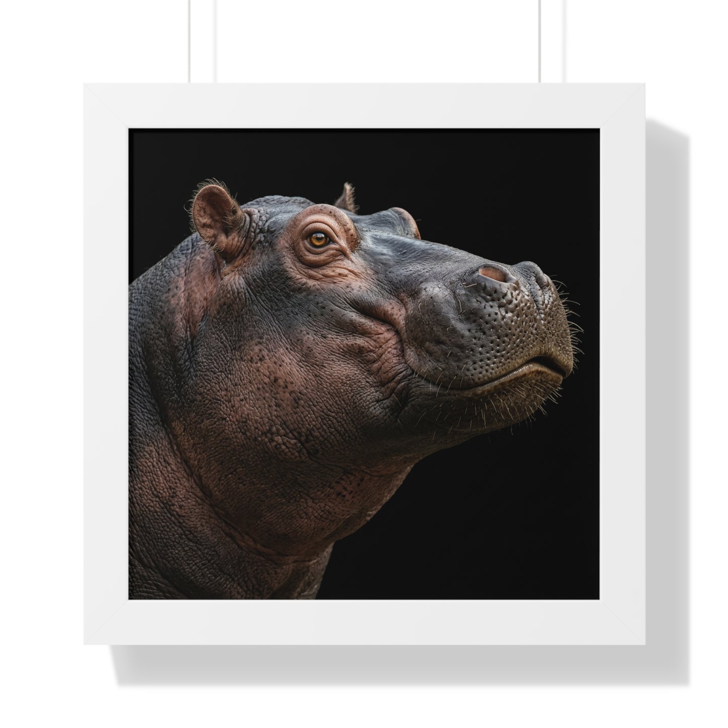 Framed Art Print – Hippopotamus In Colour
