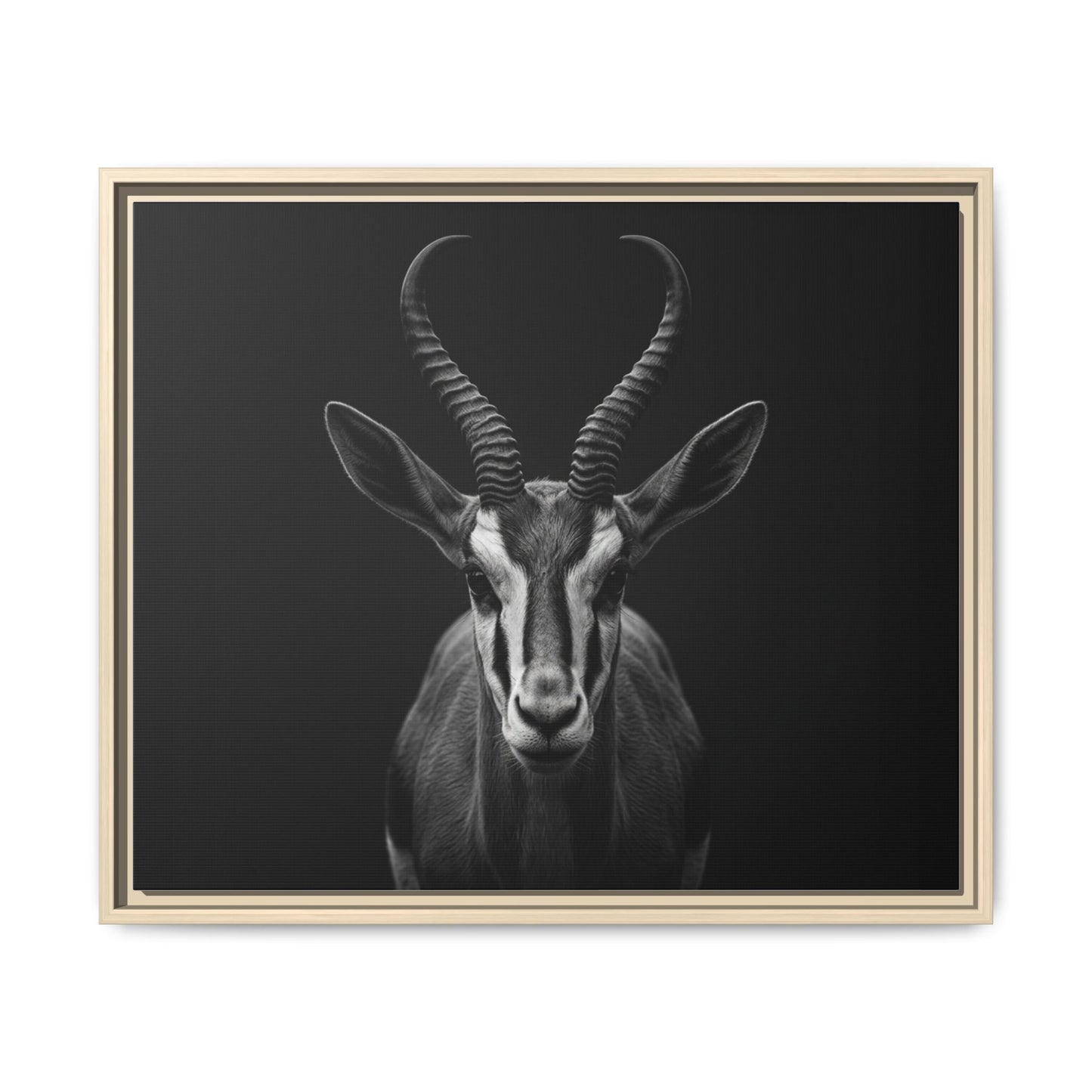 Framed Canvas Print — Springbok In Black