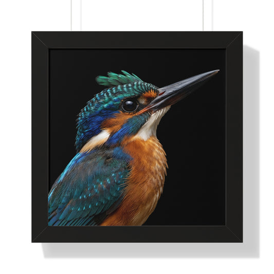 Framed Art Print – Malachite Kingfisher In Colour