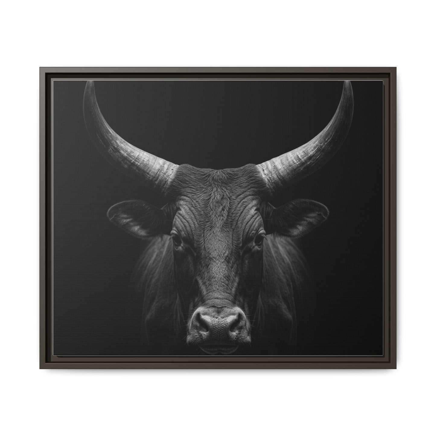 Framed Canvas Print — Ankole Cow In Black