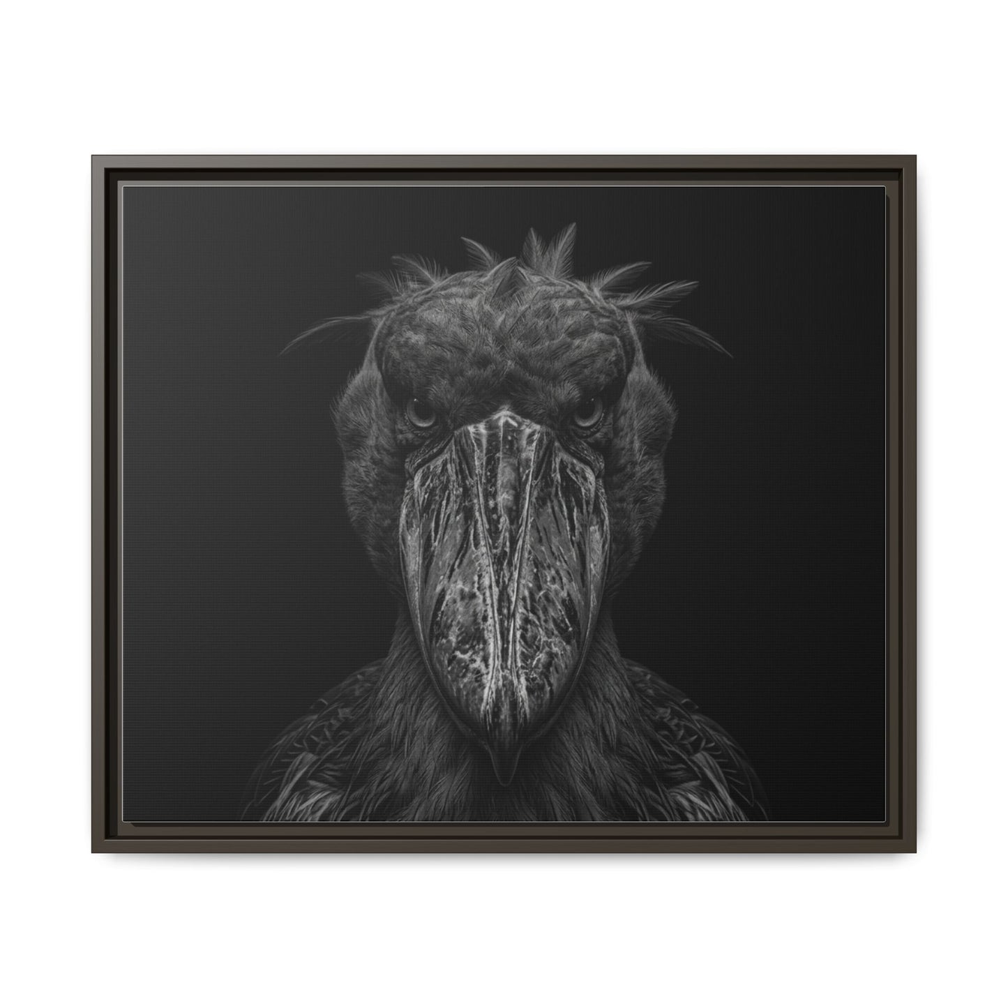 Framed Canvas Print — Shoebill Stock In Black